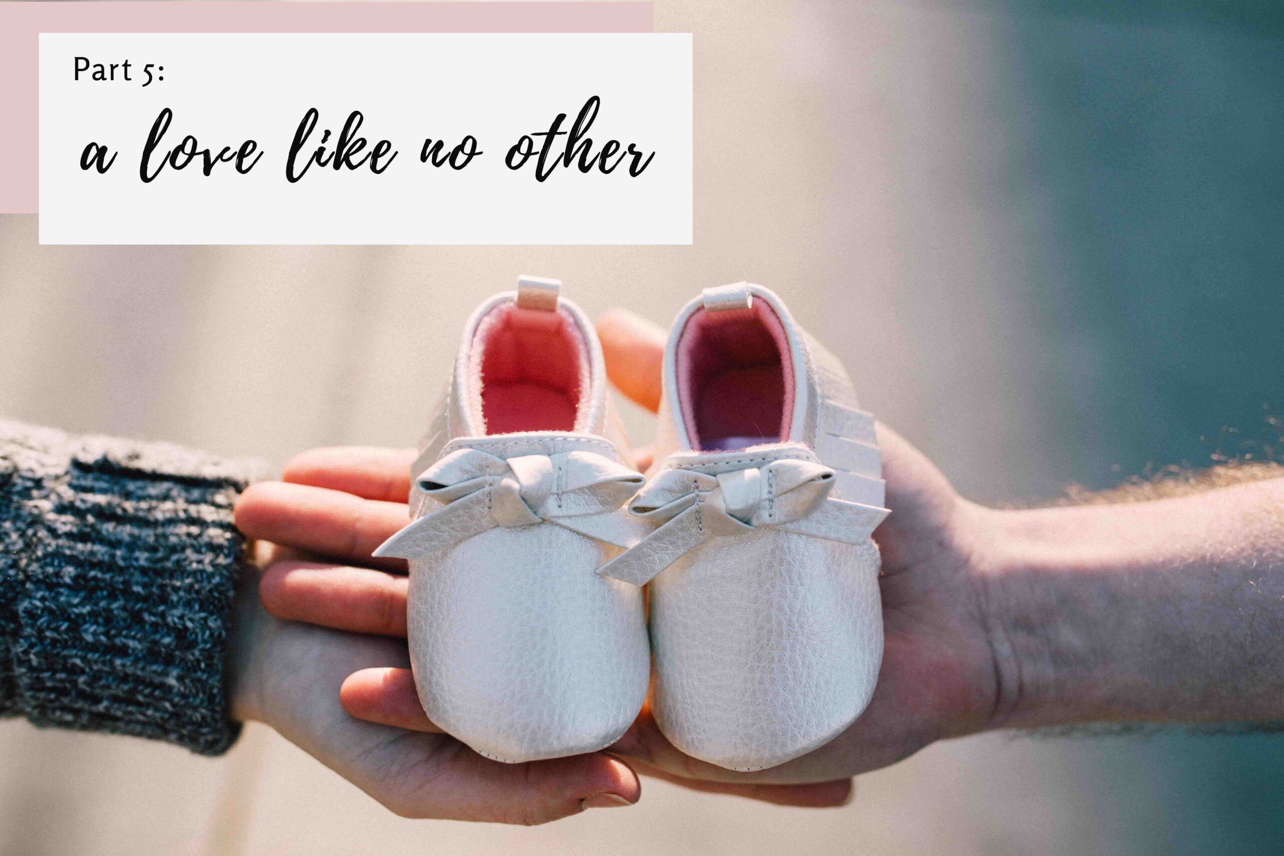 Our Lives are About to Change Forever A Guideline for Fatherstobe