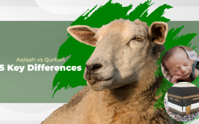 Aqiqah vs Qurban: 5 Key Differences